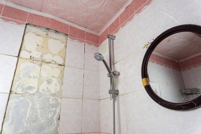 Top Shower Remodeling Companies in Burlington, WI