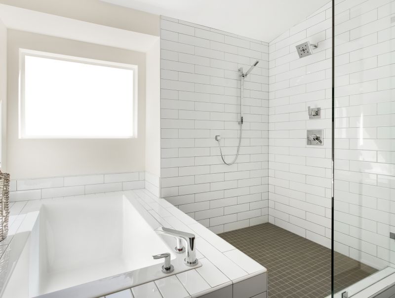 Top Tub To Shower Conversion Companies in Burlington, WI